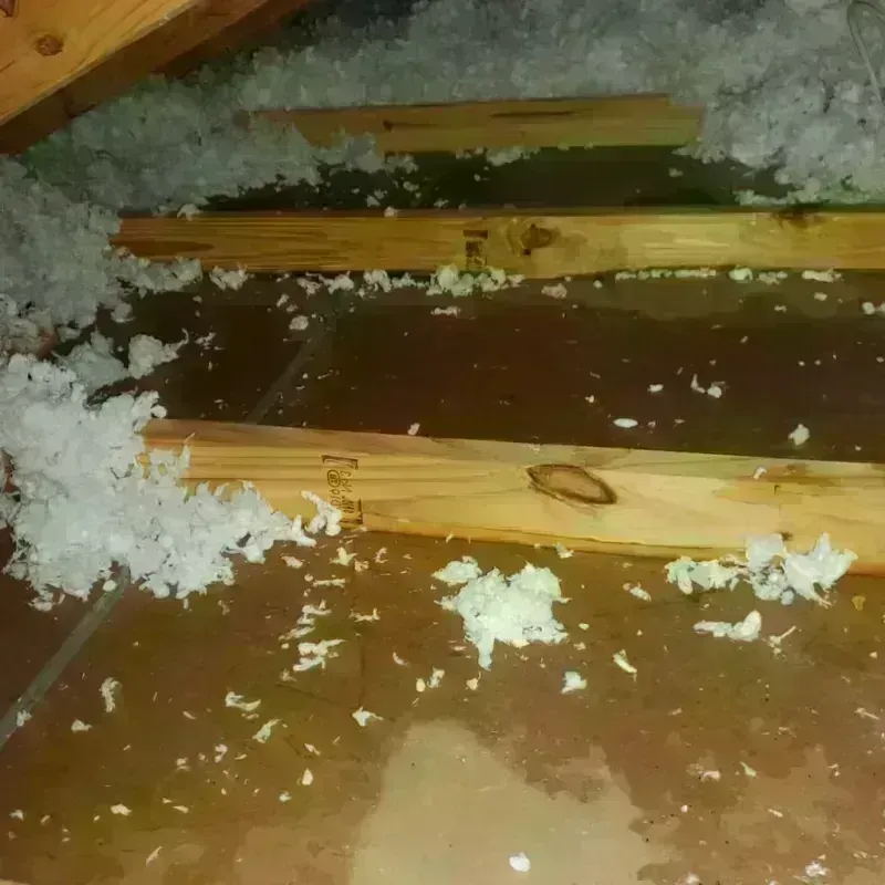 Attic Water Damage in City of Poquoson, VA