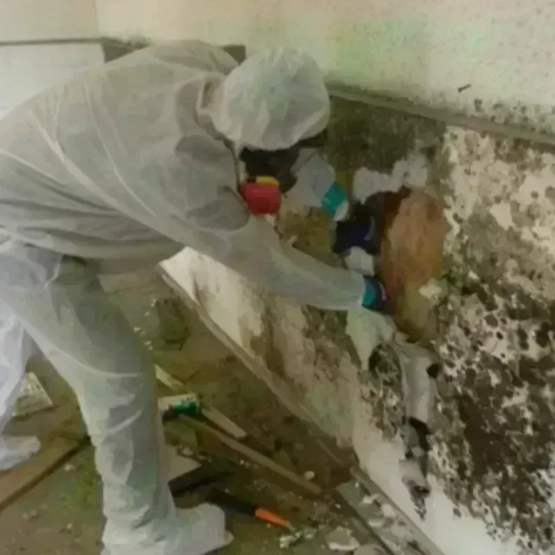 Mold Remediation and Removal in City of Poquoson, VA